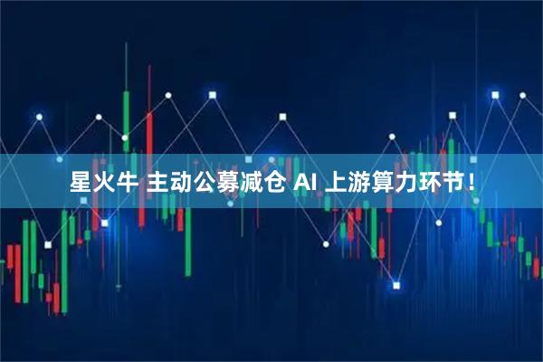 星火牛 主动公募减仓 AI 上游算力环节!