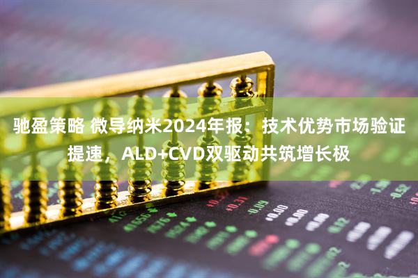 驰盈策略 微导纳米2024年报:技术优势市场验证提速,ALD+CVD双驱动共筑增长极