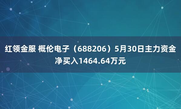 红领金服 概伦电子(688206)5月30日主力资金净买入1464.64万元