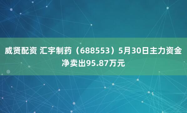 威贤配资 汇宇制药(688553)5月30日主力资金净卖出95.87万元