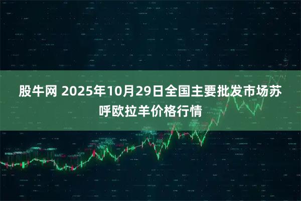股牛网 2025年10月29日全国主要批发市场苏呼欧拉羊价格行情