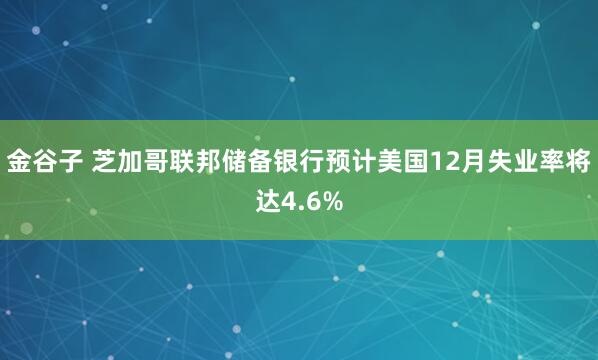 金谷子 芝加哥联邦储备银行预计美国12月失业率将达4.6%