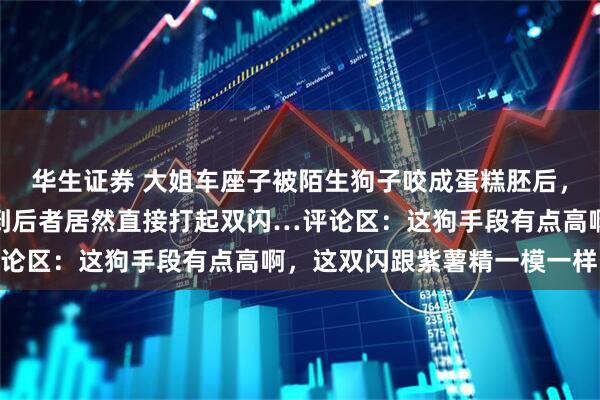 华生证券 大姐车座子被陌生狗子咬成蛋糕胚后，发视频怒斥狗子，没想到后者居然直接打起双闪…评论区：这狗手段有点高啊，这双闪跟紫薯精一模一样…